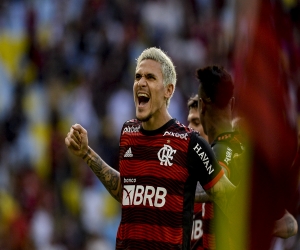 Com quatro gols em cinco jogos, Pedro capta estilo de Paulo Sousa e volta a embalar no Flamengo   Flamengo Com Vc, Mengo   FALANDO DE FLAMENGO site de notícias do Flamengo